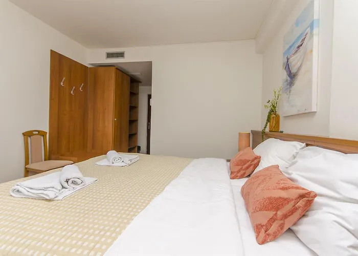 House Plava Laguna 招待所 迪斯诺