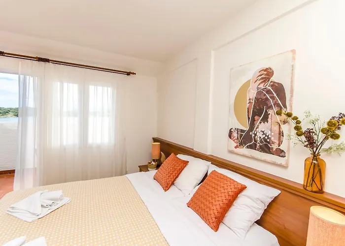 招待所 House Plava Laguna 3*