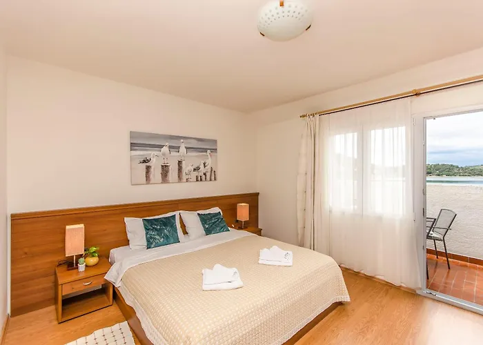 House Plava Laguna 招待所 迪斯诺