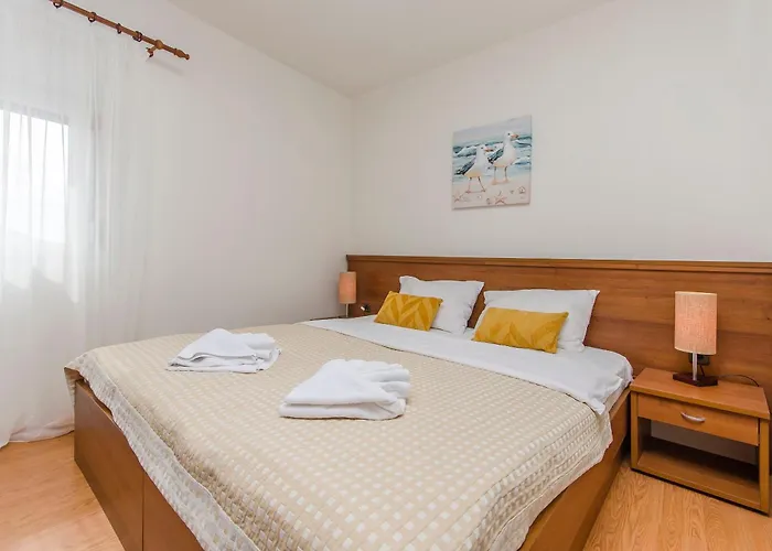 House Plava Laguna 招待所