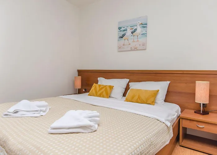 招待所 House Plava Laguna