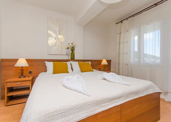 House Plava Laguna 招待所 迪斯诺