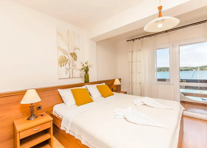 House Plava Laguna 招待所 迪斯诺