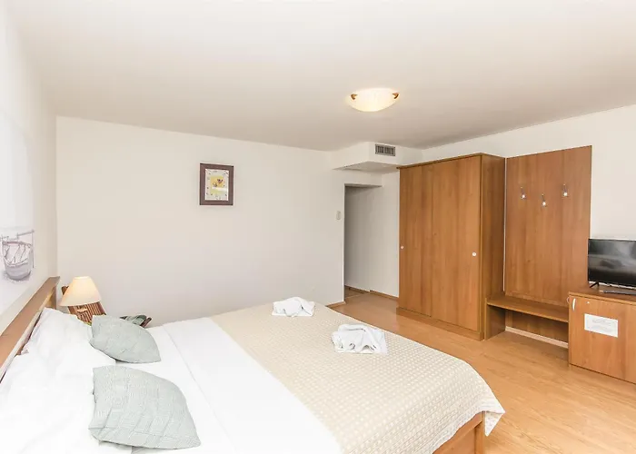 招待所 House Plava Laguna 3*